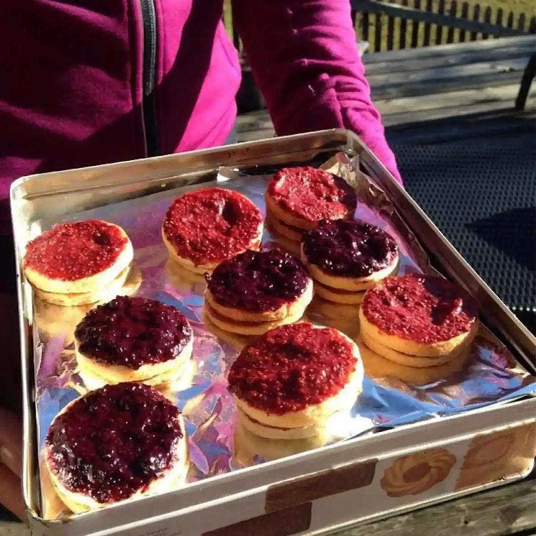 LYOFOOD Økologisk Tranebærpulver – Superfrukt for smoothie og grøt - Game-On.no